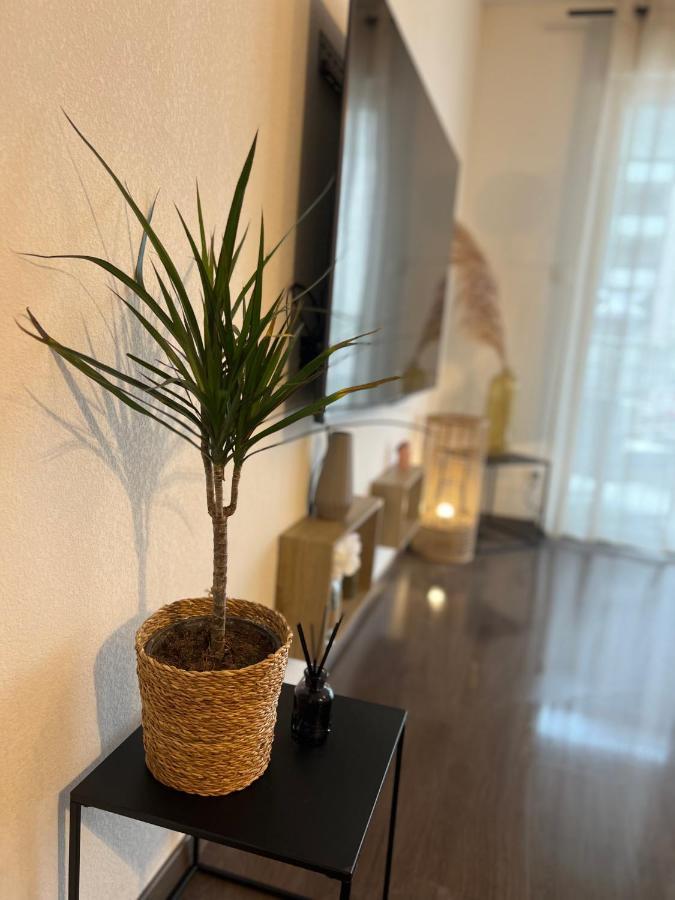 דירות אז'אקסיו T2 Cosy Ajaccio מראה חיצוני תמונה